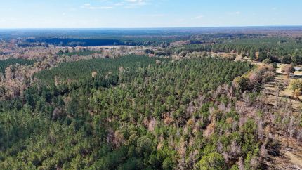 Land for sale in Drew County, Arkansas