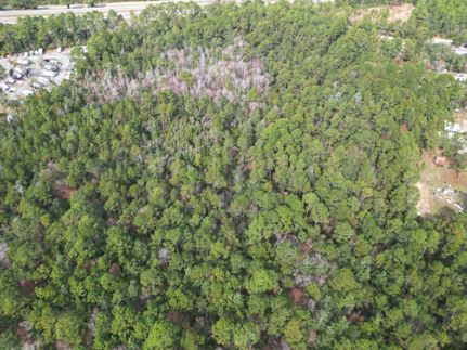 Homesite for sale in Santa Rosa County, Florida