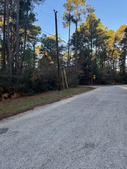 Land for sale in Bastrop County, Texas