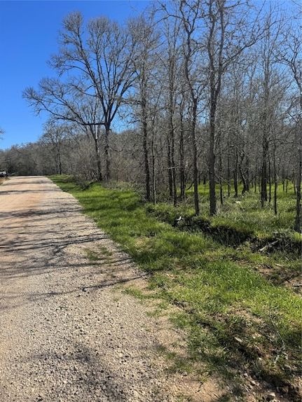 Land for sale in Bastrop County, Texas