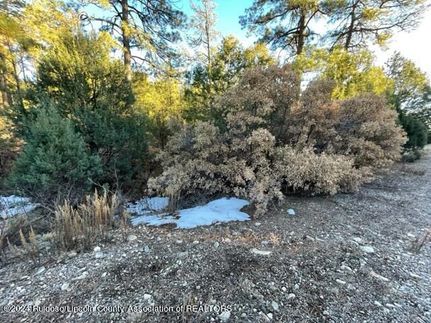 Commercial Property for sale in Otero County, New Mexico