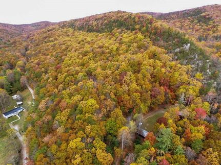 Undeveloped Land for sale in Wythe County, Virginia