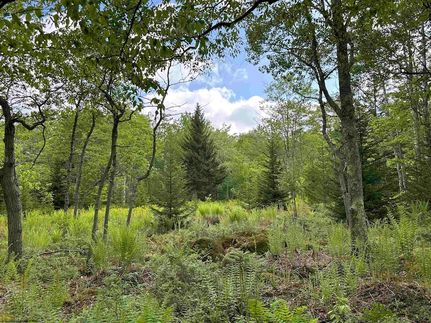 Undeveloped Land for sale in Tucker County, West Virginia