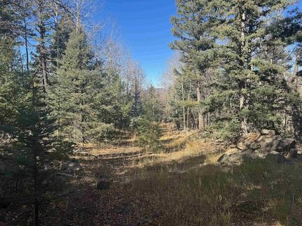 Land for sale in Colfax County, New Mexico