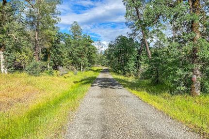 Undeveloped Land for sale in Shasta County, California