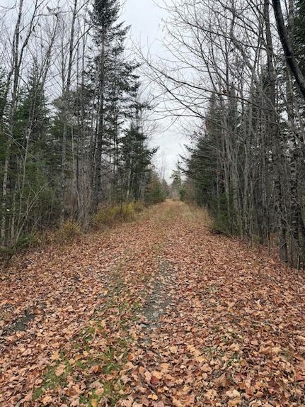 Land for sale in Penobscot County, Maine