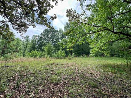 Undeveloped Land for sale in Drew County, Arkansas