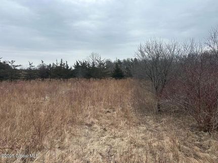 Farm and Ranch for sale in Greene County, New York