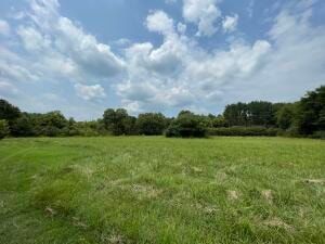 Undeveloped Land for sale in Pope County, Arkansas