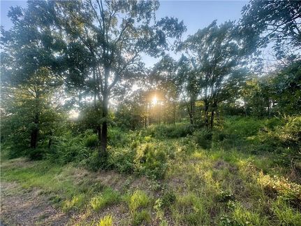 Undeveloped Land for sale in Pope County, Arkansas