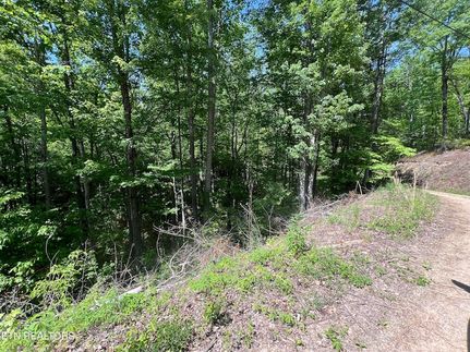 Land for sale in Sevier County, Tennessee