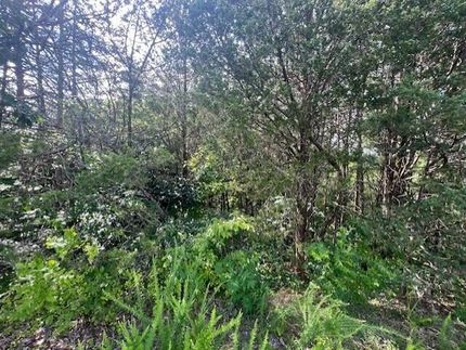 Homesite for sale in Jefferson County, Tennessee