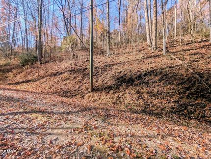 Undeveloped Land for sale in Sevier County, Tennessee