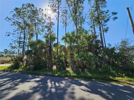 Homesite for sale in Flagler County, Florida