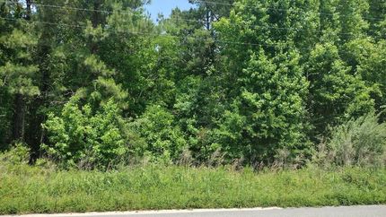 Timberland Property for sale in Clarendon County, South Carolina