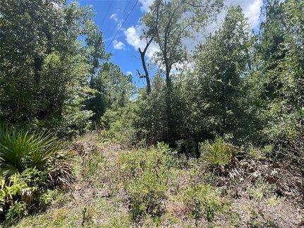 Undeveloped Land for sale in Dixie County, Florida
