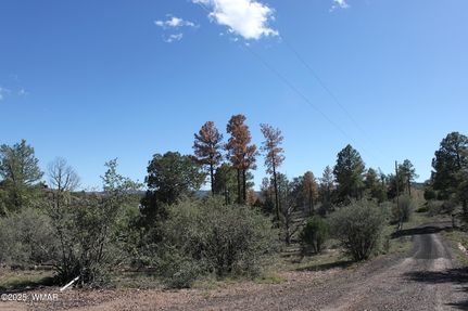 Land for sale in Navajo County, Arizona