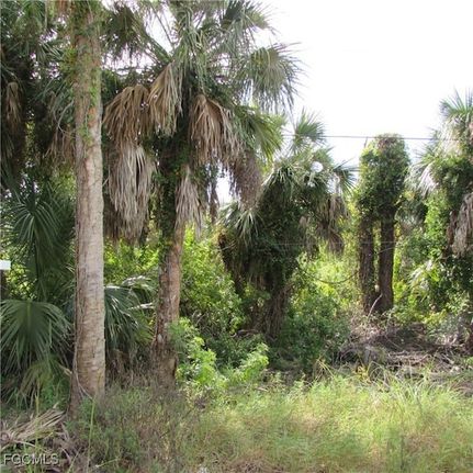 Recreational Property for sale in Lee County, Florida