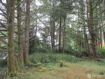 Undeveloped Land for sale in Grays Harbor County, Washington