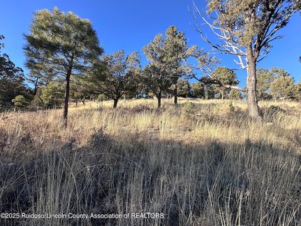 Hunting Property for sale in Lincoln County, New Mexico