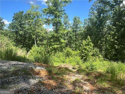Land for sale in Gilmer County, Georgia