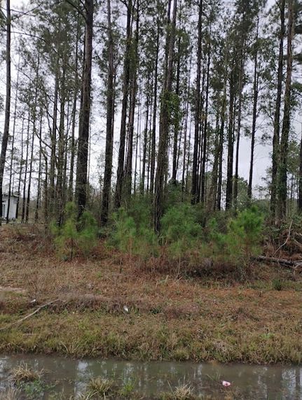 Undeveloped Land for sale in Liberty County, Texas