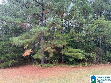 Homesite for sale in Talladega County, Alabama