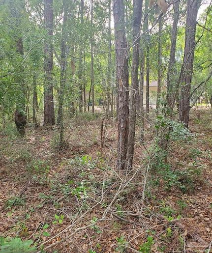 Land for sale in Santa Rosa County, Florida