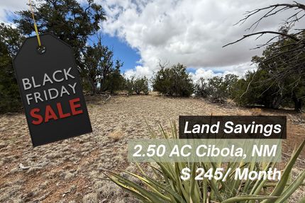 Land for sale in Cibola County, New Mexico