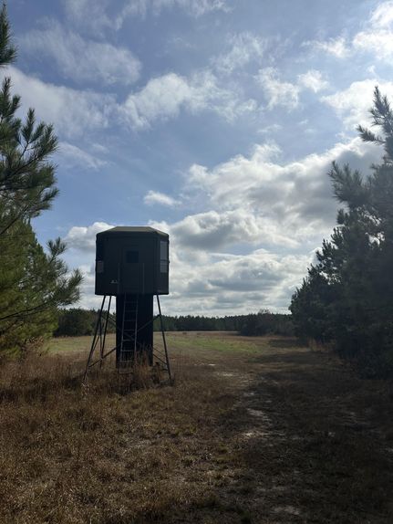 Timberland Property for sale in Clarke County, Mississippi