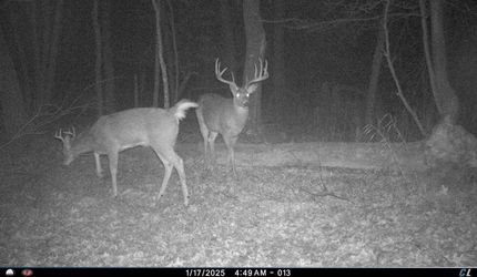 Hunting Property for sale in Juneau County, Wisconsin