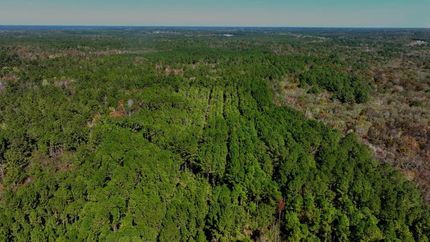 Land for sale in Bulloch County, Georgia