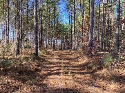 Farm and Ranch for sale in Campbell County, Virginia