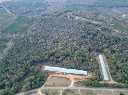 Farm and Ranch for sale in Crenshaw County, Alabama