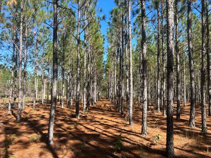 Commercial Property for sale in Chesterfield County, South Carolina