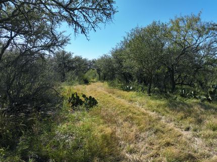Farm and Ranch for sale in Kinney County, Texas