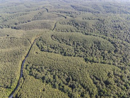 Farm and Ranch for sale in Lewis County, Tennessee