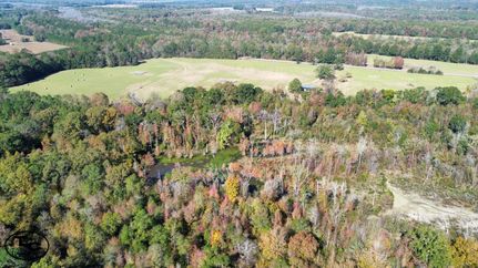 Undeveloped Land for sale in Dallas County, Alabama