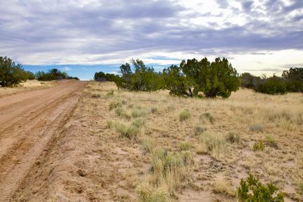Undeveloped Land for sale in Apache County, Arizona