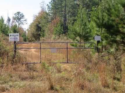 Land for sale in Stewart County, Georgia
