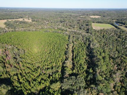 Hunting Property for sale in Holmes County, Florida