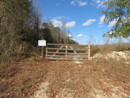 Land for sale in Stewart County, Georgia
