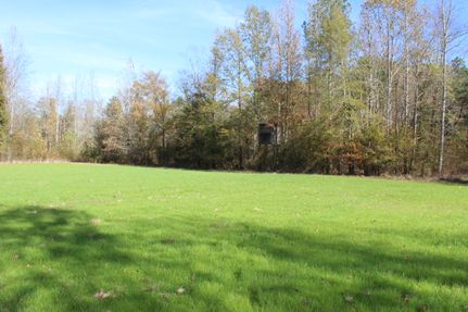 Land for sale in Hardeman County, Tennessee