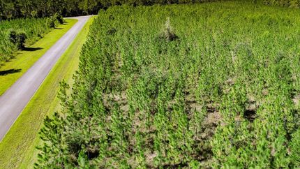 Undeveloped Land for sale in Liberty County, Florida