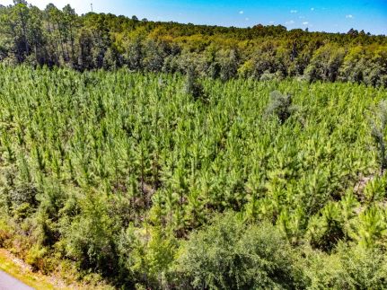 Land for sale in Liberty County, Florida