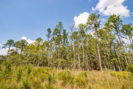 Land for sale in Holmes County, Florida