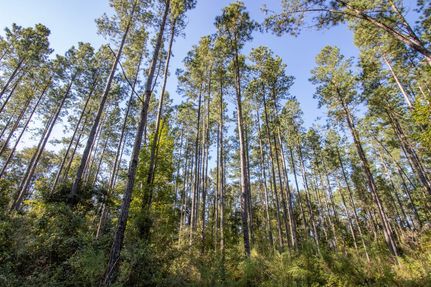 Land for sale in Holmes County, Florida