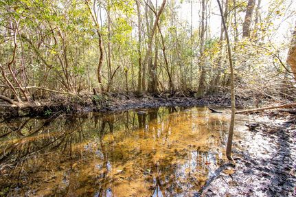 Timberland Property for sale in Washington County, Florida