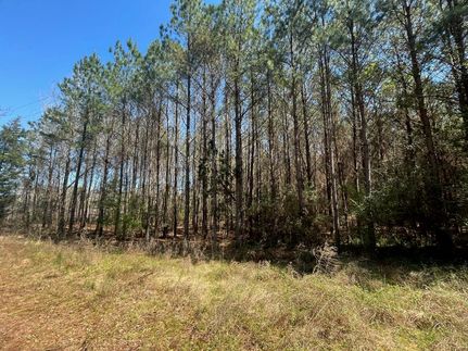 Land for sale in Monroe County, Alabama