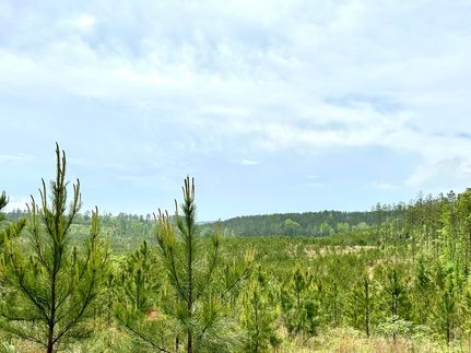 Farm and Ranch for sale in Perry County, Alabama